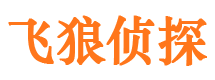 登封寻人公司